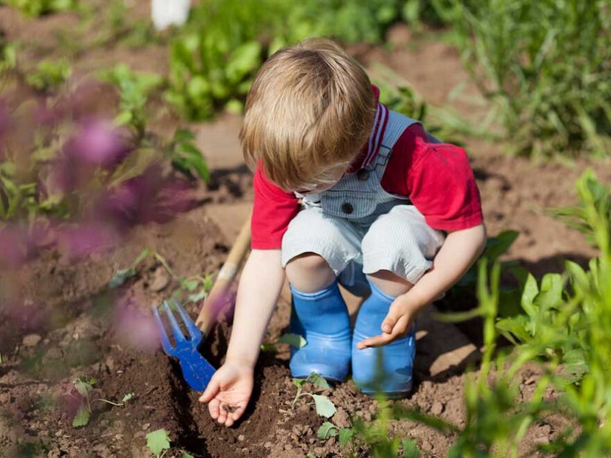 Nurturing children's love for nature and the environment